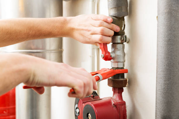 Best Plumbing System Maintenance  in Roodhouse, IL